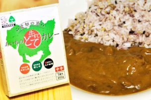 オリエンタル あいちの牛すじどてカレー