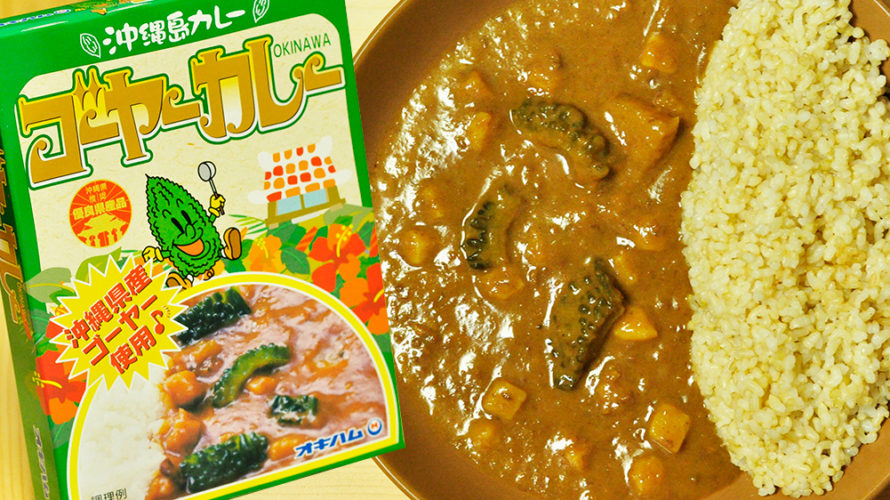 柔らかい!苦くない!沖縄島カレー ゴーヤーカレー