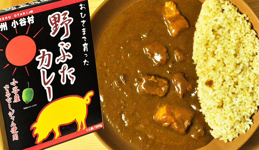 豚肉の風味が美味しい おひさまで育った野ぶたカレー